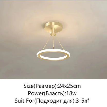 Scandinavian Minimalist LED Hanging Lamp: Contemporary Statement Lighting